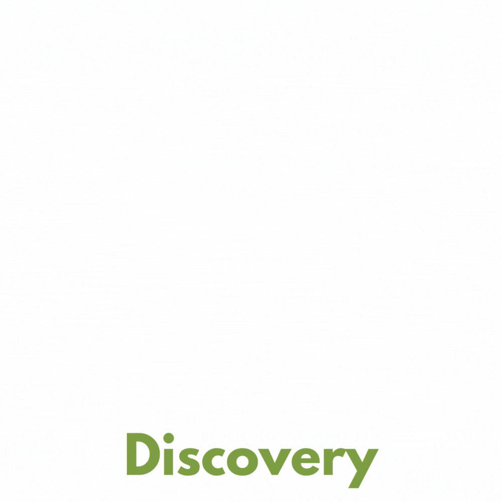 Discovery Discovery